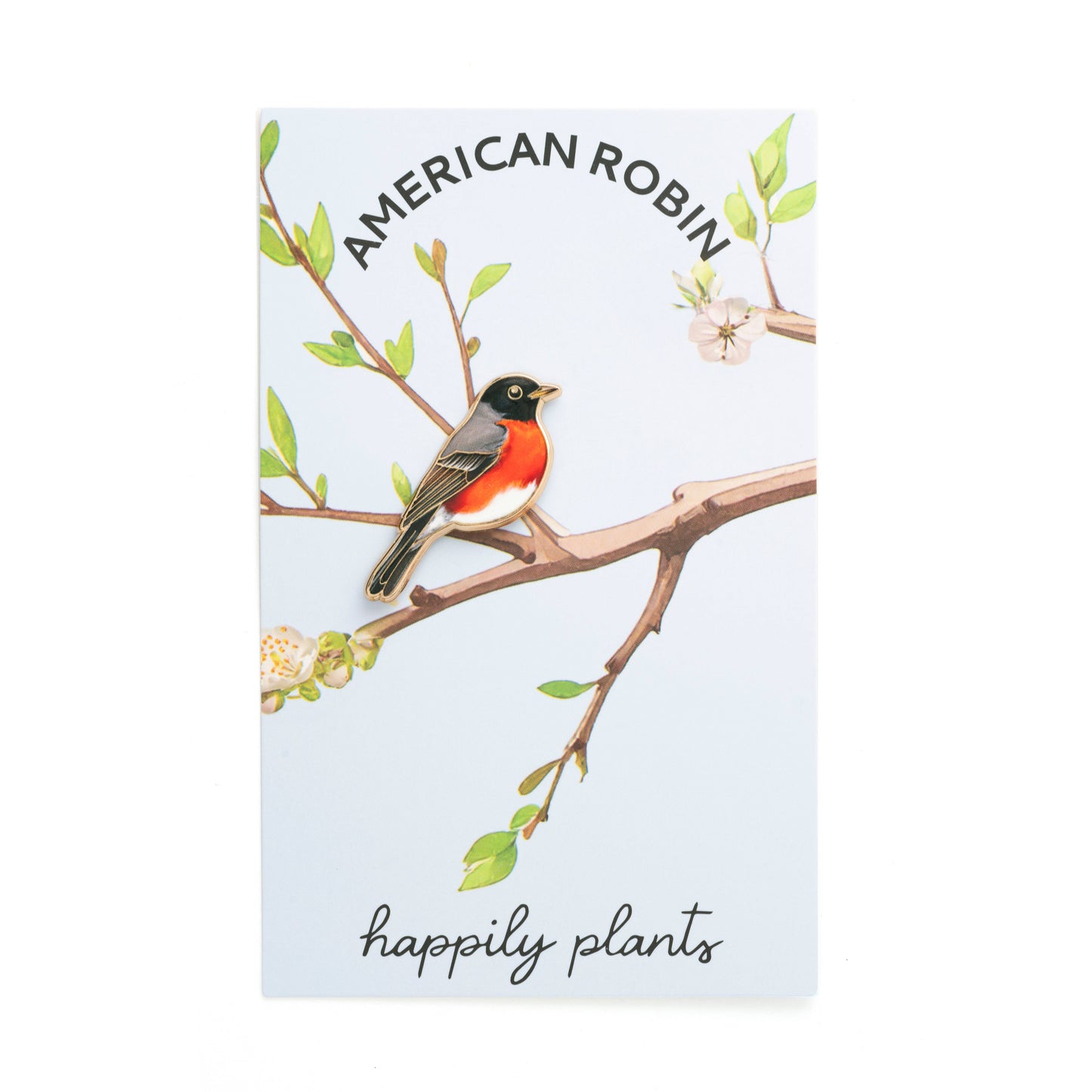 Robin Bird Pin