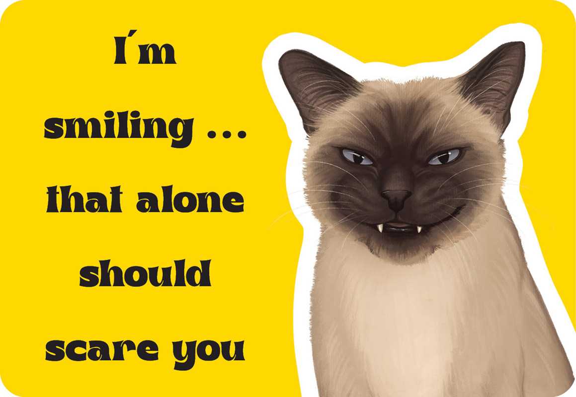 Cattitude by Rockpool  Publishing