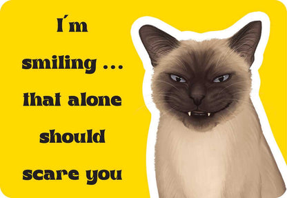 Cattitude by Rockpool  Publishing