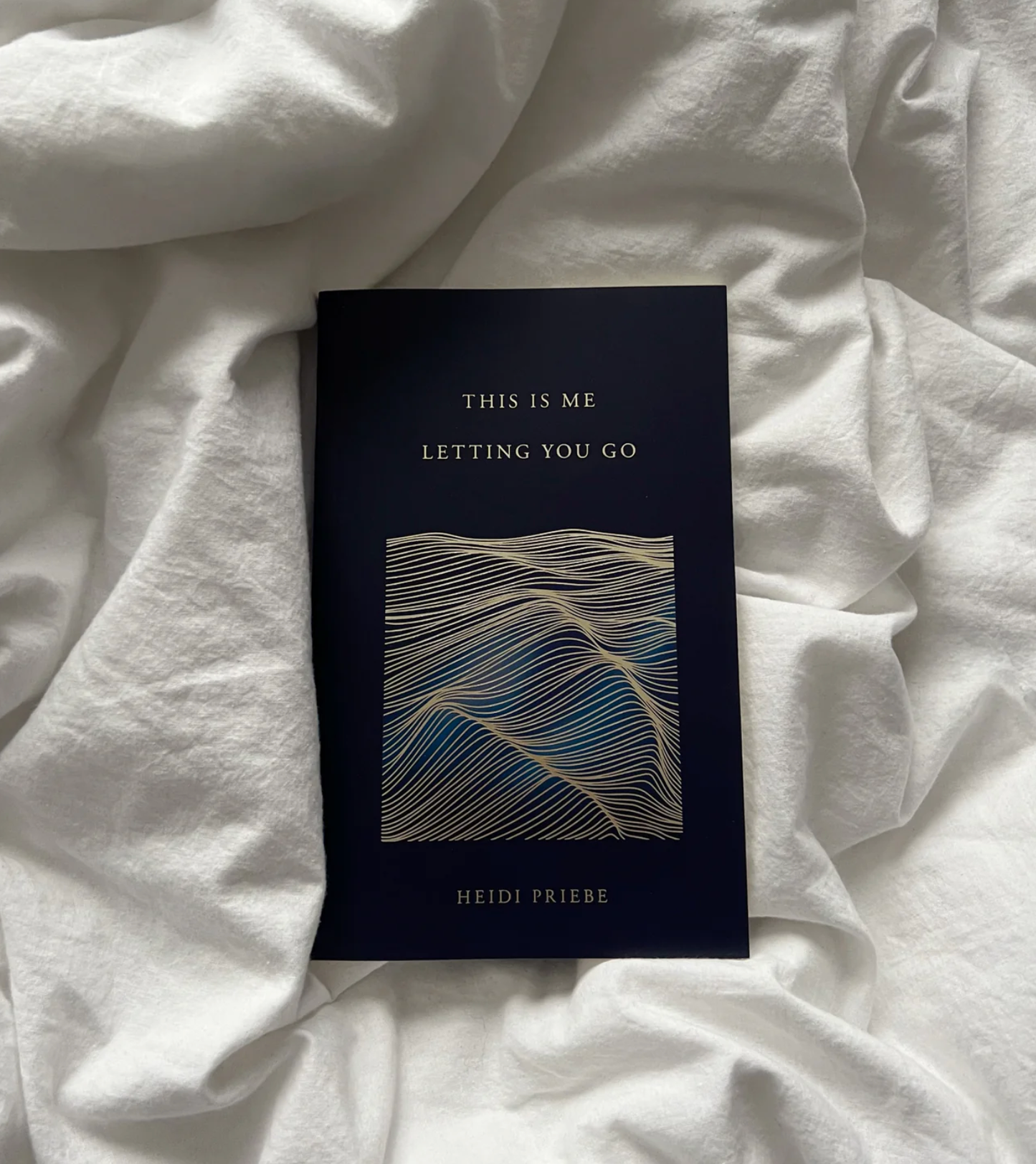 This Is Me Letting You Go by Heidi Priebe