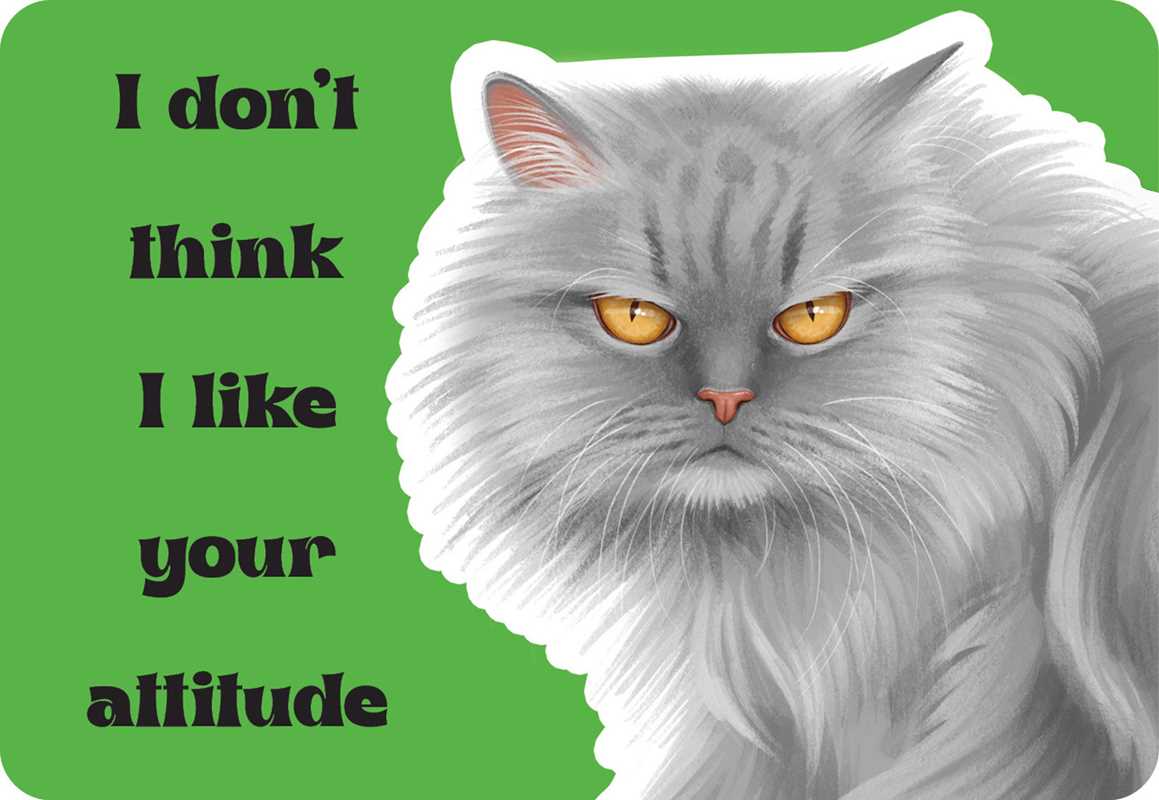 Cattitude by Rockpool  Publishing