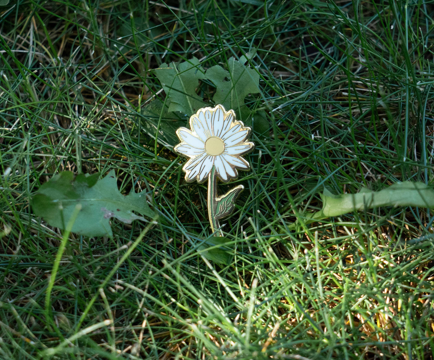 Daisy Pin Flower