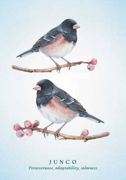 Spiritual Meaning of Birds Oracle Deck by Arin Murphy-Hiscock