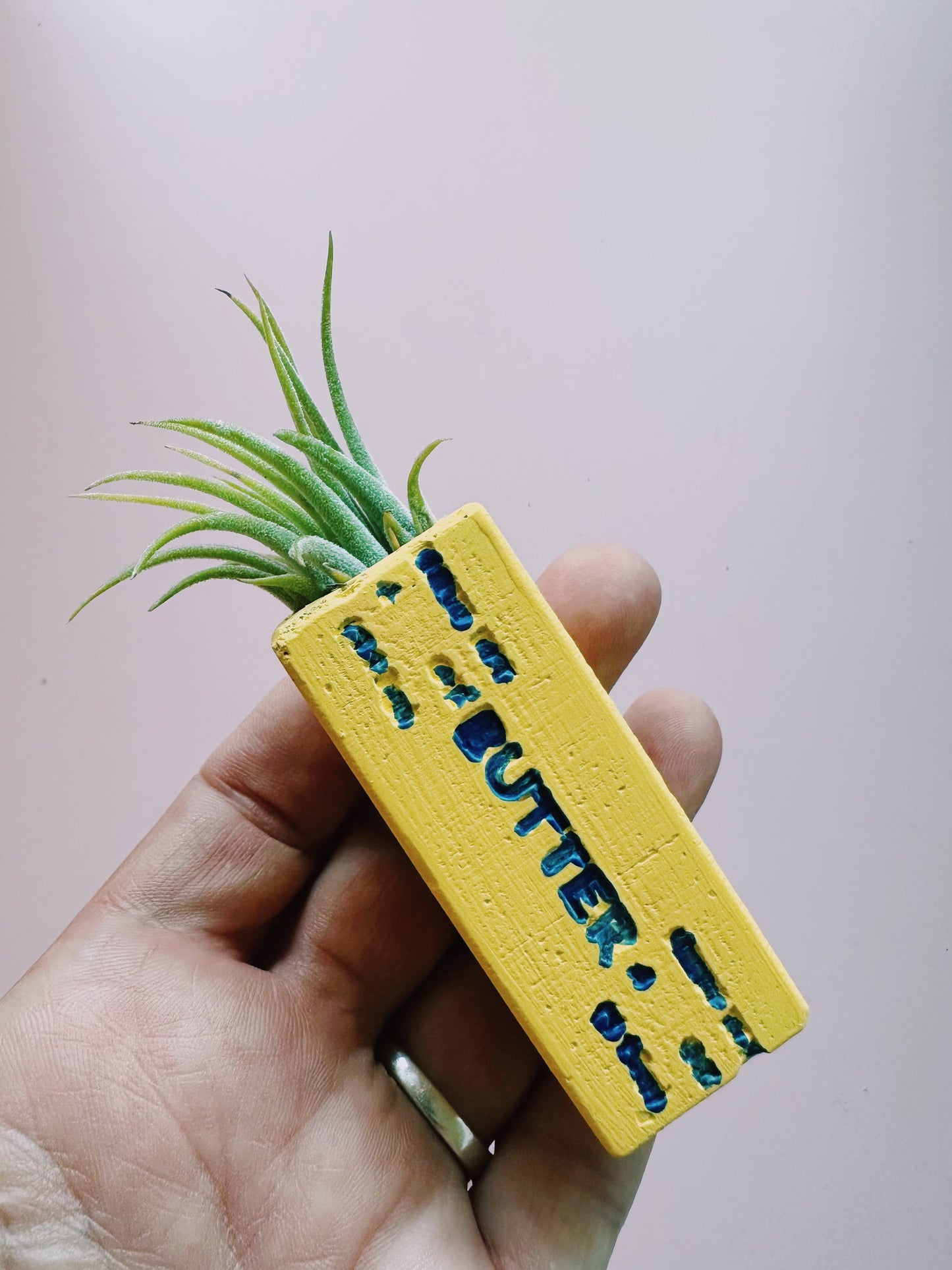 Butter Stick Mini Planter with Air Plant