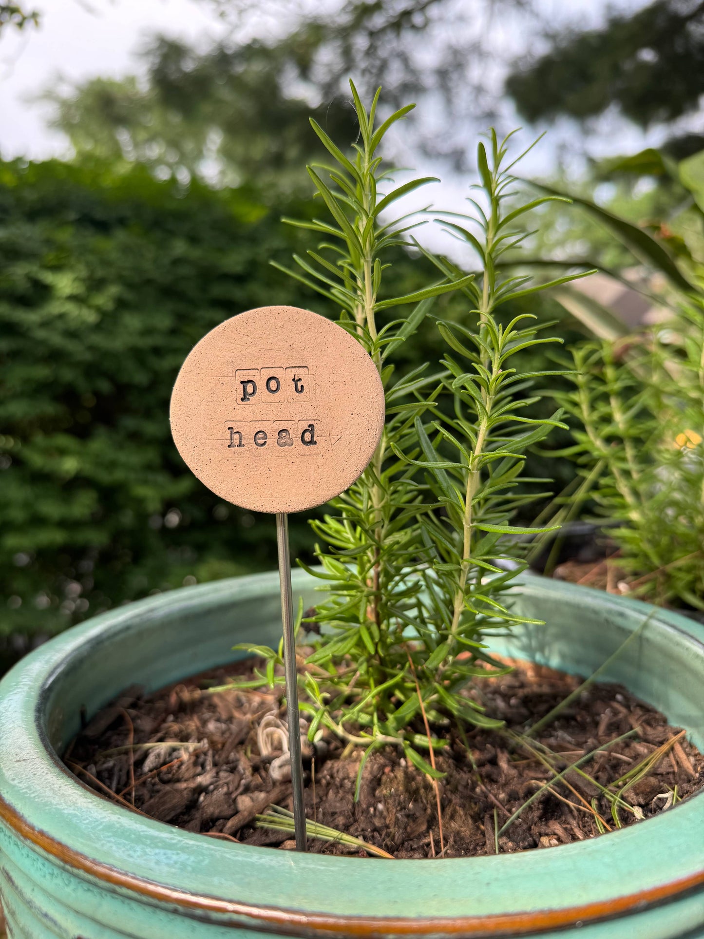 Pot Head - Plant Buddies