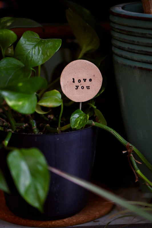 Plant Buddies Plant Stake - Love You